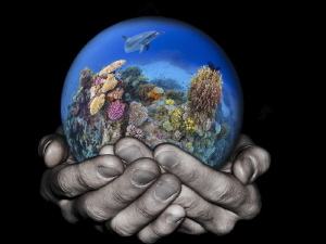 Take care of the reef by Alex Varani 